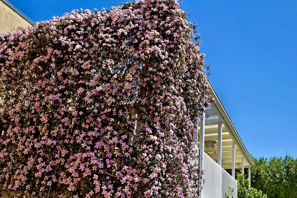 Bundanoon alojamiento Exterior foto